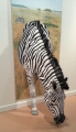 zebra-tavla2.jpg