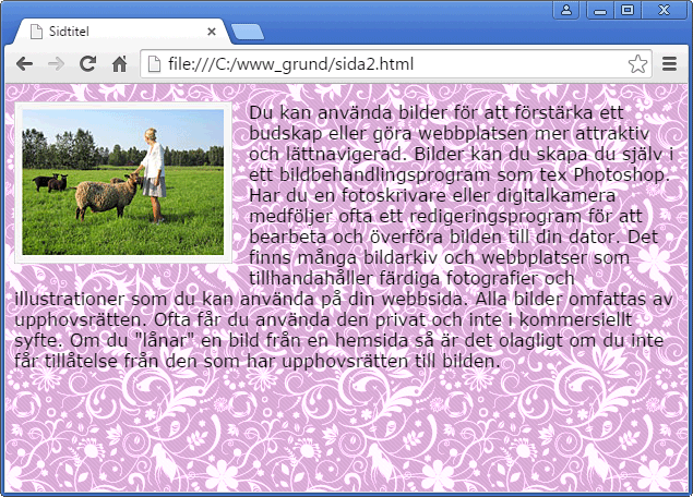 Webdesignskolan Html Grunderna